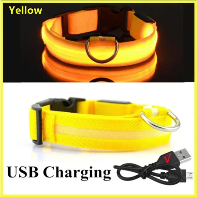 LED Glowing Dog Collar – Adjustable Rechargeable Luminous Flashing Night Safety Collar for Small Dogs