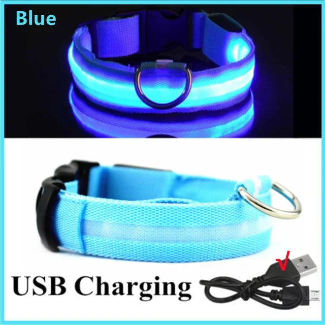 LED Glowing Dog Collar – Adjustable Rechargeable Luminous Flashing Night Safety Collar for Small Dogs