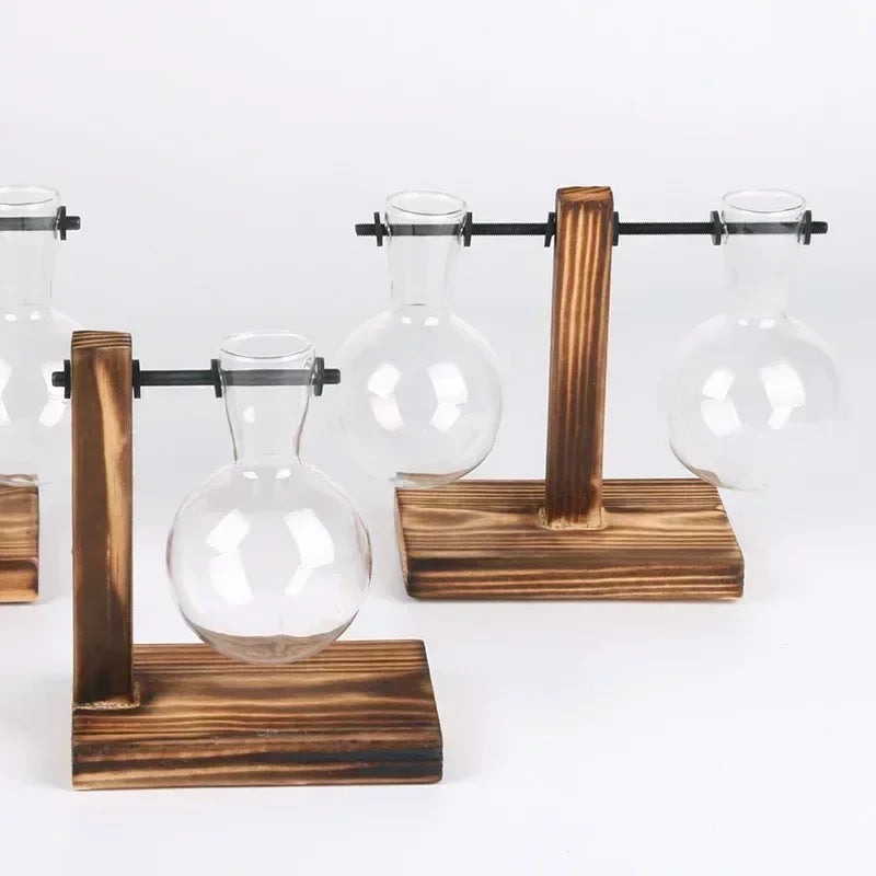 Hydroponic Glass Vase Elegant Desktop Decor for Home or Office Plants