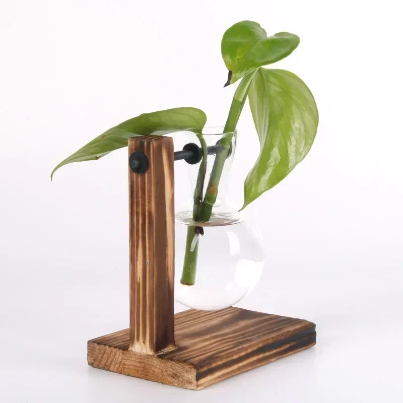 Hydroponic Glass Vase Elegant Desktop Decor for Home or Office Plants