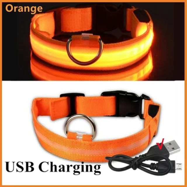 LED Glowing Dog Collar – Adjustable Rechargeable Luminous Flashing Night Safety Collar for Small Dogs