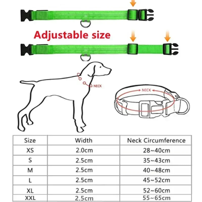 LED Glowing Dog Collar – Adjustable Rechargeable Luminous Flashing Night Safety Collar for Small Dogs