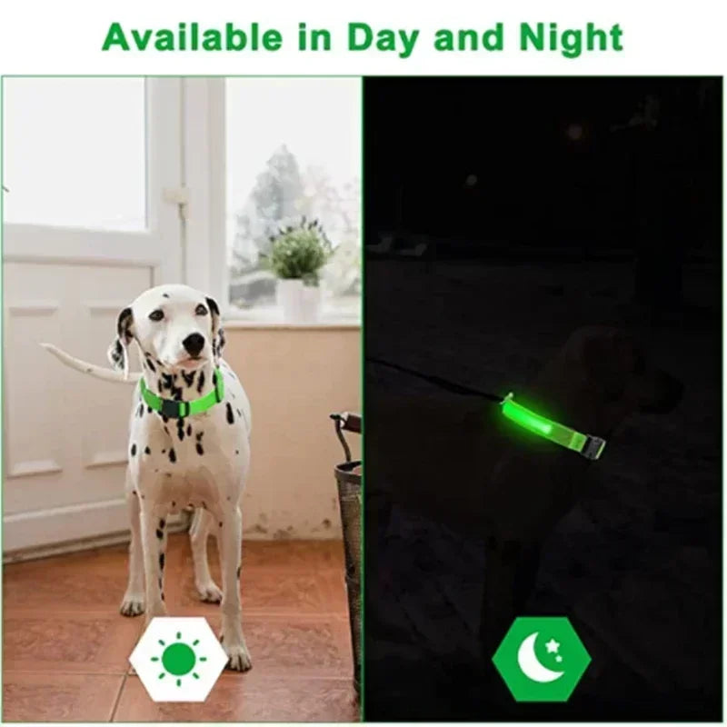 LED Glowing Dog Collar – Adjustable Rechargeable Luminous Flashing Night Safety Collar for Small Dogs
