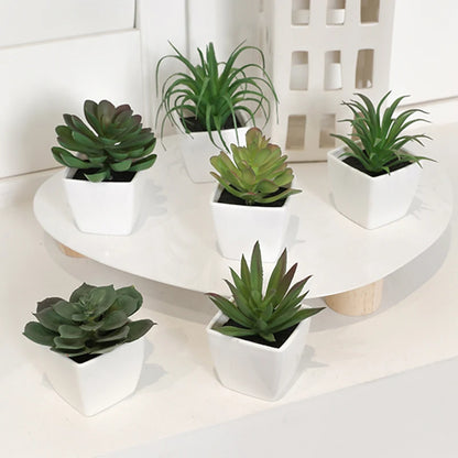 6PCS Mini Artificial Succulent Plants – Home Decor Set