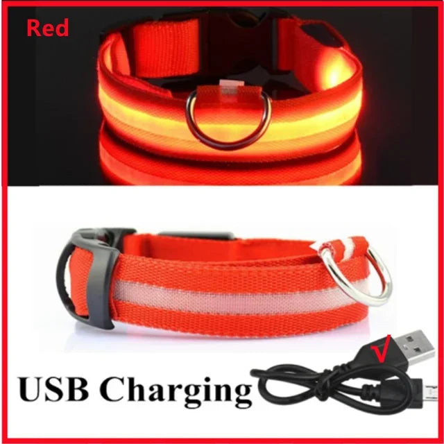 LED Glowing Dog Collar – Adjustable Rechargeable Luminous Flashing Night Safety Collar for Small Dogs