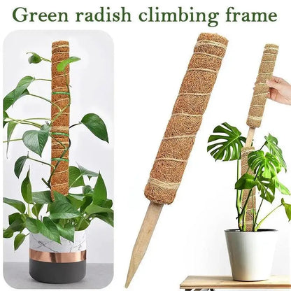 Coir Totem Pole for Climbing Plants Support