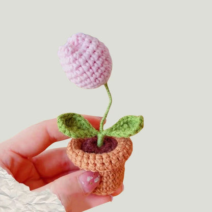 DIY Mini Handwoven Rose Plant – Woolen Thread Potted Decor for Office & Home