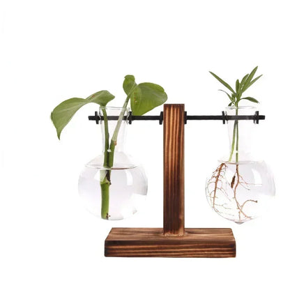 Hydroponic Glass Vase Elegant Desktop Decor for Home or Office Plants