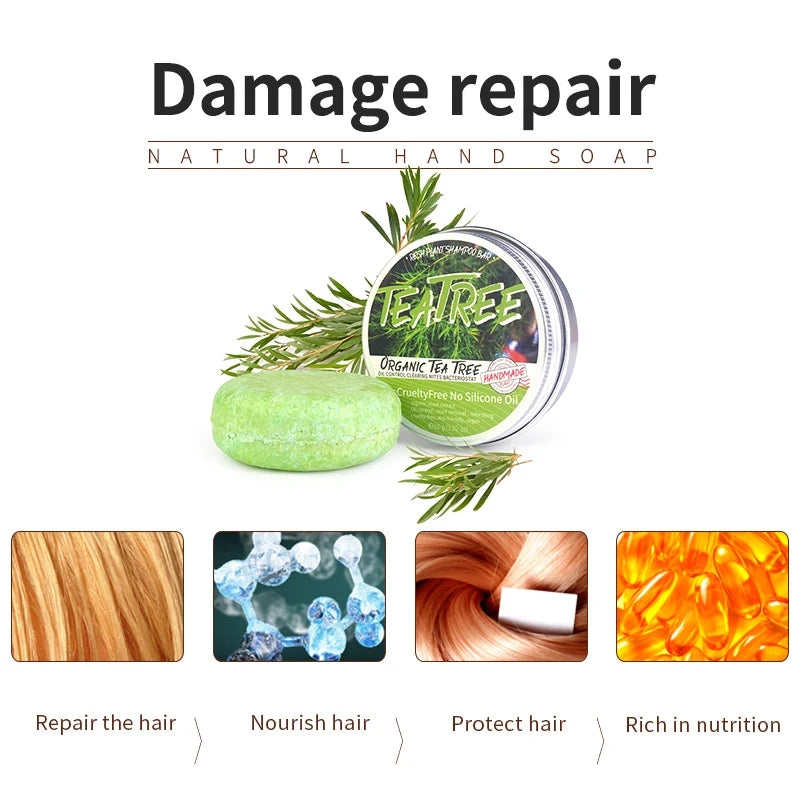 Tea Tree Essential Oil Shampoo Refreshing, Anti-Dandruff & Handmade