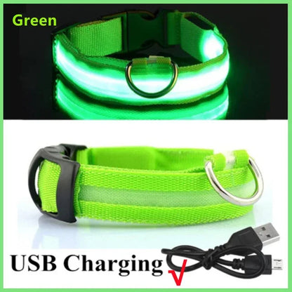 LED Glowing Dog Collar – Adjustable Rechargeable Luminous Flashing Night Safety Collar for Small Dogs