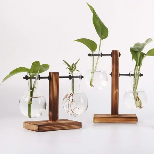 Hydroponic Glass Vase Elegant Desktop Decor for Home or Office Plants