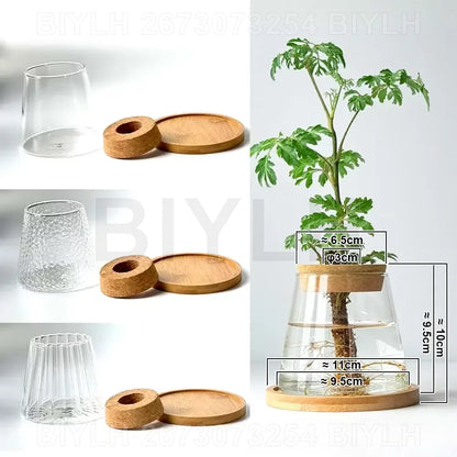 Set of 1 or 2 hydroponic glass flower pots with base tray—perfect for stylish home garden decor!