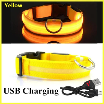 LED Glowing Dog Collar – Adjustable Rechargeable Luminous Flashing Night Safety Collar for Small Dogs