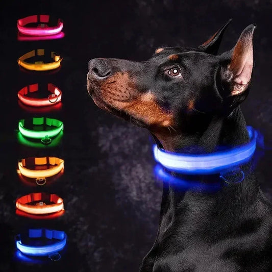 LED Glowing Dog Collar – Adjustable Rechargeable Luminous Flashing Night Safety Collar for Small Dogs