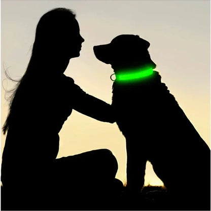 LED Glowing Dog Collar – Adjustable Rechargeable Luminous Flashing Night Safety Collar for Small Dogs