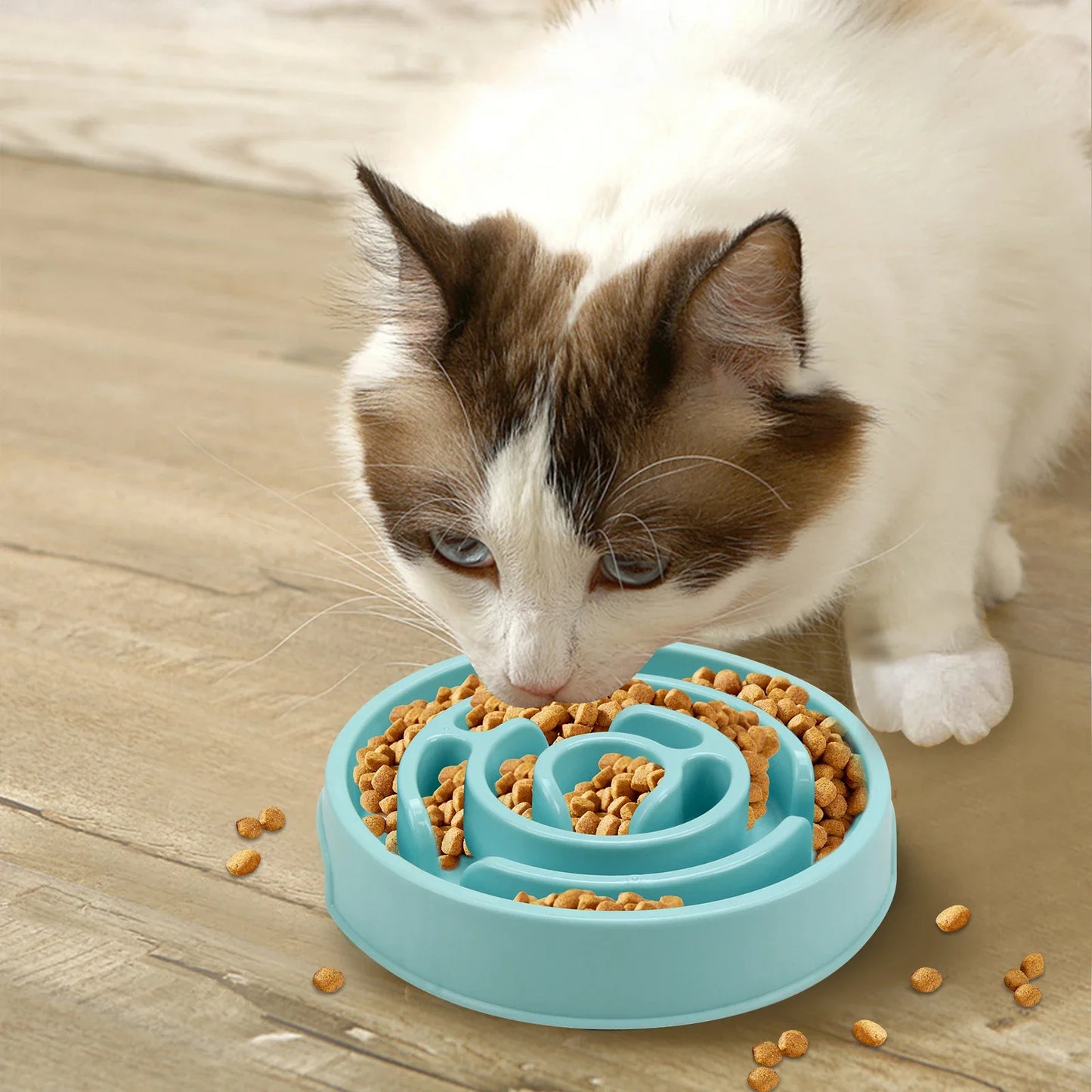 Pet Slow Feed Bowl – Non-Slip, Anti-Gulping, Eco-Friendly Durable Feeder for Dogs & Cats