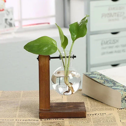 Hydroponic Glass Vase Elegant Desktop Decor for Home or Office Plants