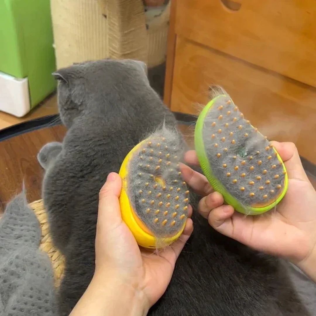 Cat & Dog Steam Brush Massager