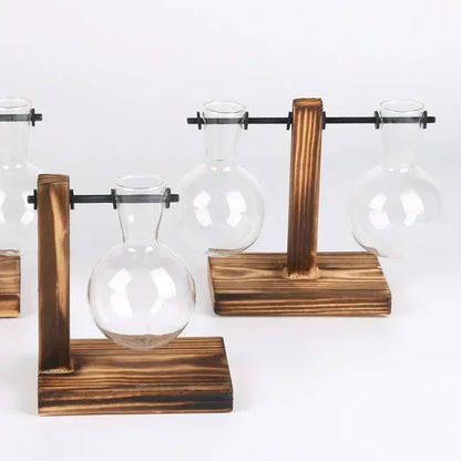 Hydroponic Glass Vase Elegant Desktop Decor for Home or Office Plants