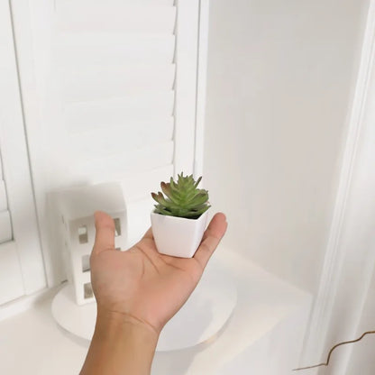 6PCS Mini Artificial Succulent Plants – Home Decor Set