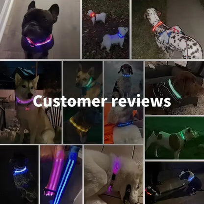 LED Glowing Dog Collar – Adjustable Rechargeable Luminous Flashing Night Safety Collar for Small Dogs