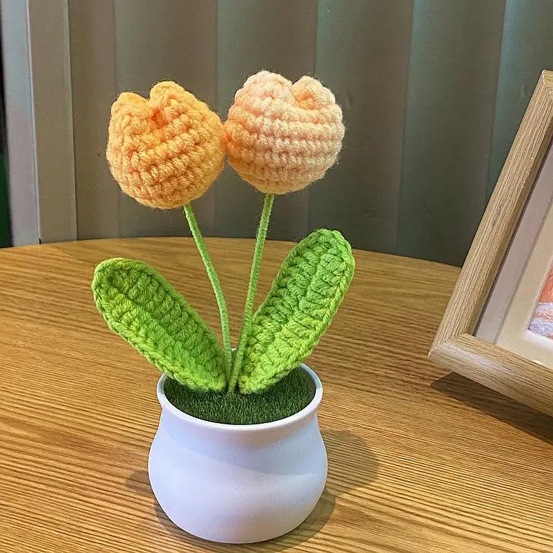 DIY Mini Handwoven Rose Plant – Woolen Thread Potted Decor for Office & Home