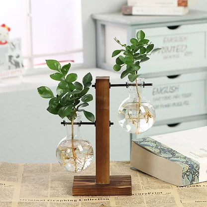 Hydroponic Glass Vase Elegant Desktop Decor for Home or Office Plants