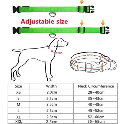 LED Glowing Dog Collar – Adjustable Rechargeable Luminous Flashing Night Safety Collar for Small Dogs