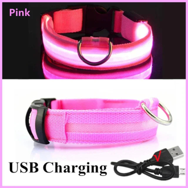 LED Glowing Dog Collar – Adjustable Rechargeable Luminous Flashing Night Safety Collar for Small Dogs
