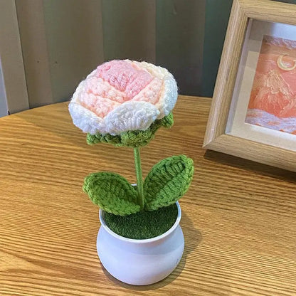 DIY Mini Handwoven Rose Plant – Woolen Thread Potted Decor for Office & Home