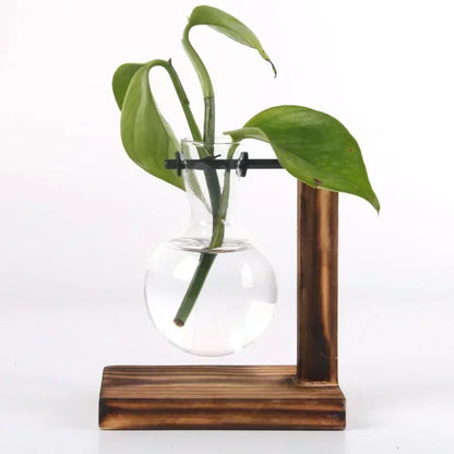 Hydroponic Glass Vase Elegant Desktop Decor for Home or Office Plants