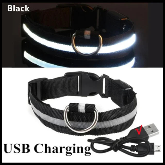 LED Glowing Dog Collar – Adjustable Rechargeable Luminous Flashing Night Safety Collar for Small Dogs