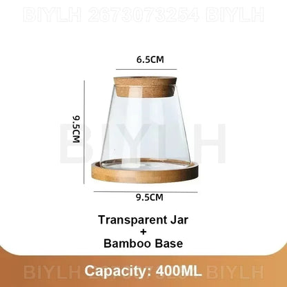 Set of 1 or 2 hydroponic glass flower pots with base tray—perfect for stylish home garden decor!