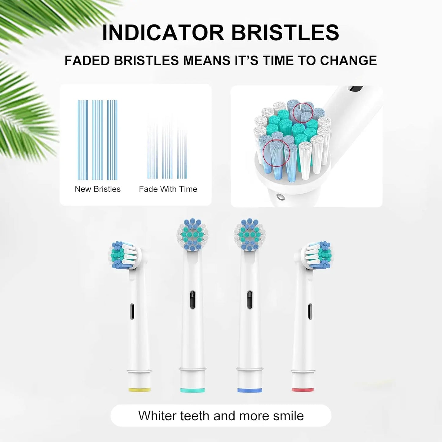 Replacement Brush Heads for Oral-B Toothbrushes