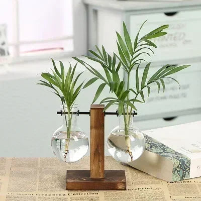 Hydroponic Glass Vase Elegant Desktop Decor for Home or Office Plants
